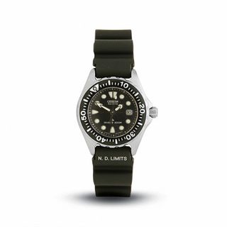 Ladies' Citizen Eco-Drive® Professional Stainless Steel Diving Watch (Model: EP6000-07H)