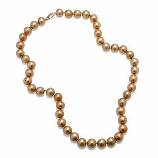 9.0-10.0mm Champagne Freshwater Cultured Pearl Strand in 14K Gold