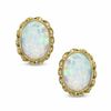 Thumbnail Image 0 of Oval Lab-Created Opal Twist Frame Earrings in 14K Gold