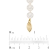 Thumbnail Image 1 of 7.0-7.5mm Akoya Cultured Pearl Strand Necklace with 14K Gold Clasp