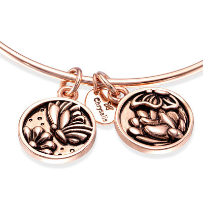 Chrysalis "Transformation" Charms Adjustable Bangle in Rose-Tone Brass