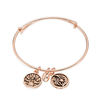 Thumbnail Image 0 of Chrysalis "Inner Beauty" Charms Adjustable Bangle in Rose-Tone Brass