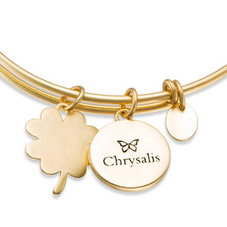 Chrysalis Cubic Zirconia "Good Luck" Charms Adjustable Bangle in Yellow-Tone Brass