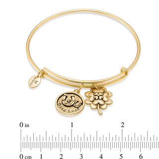 Chrysalis Cubic Zirconia "Good Luck" Charms Adjustable Bangle in Yellow-Tone Brass