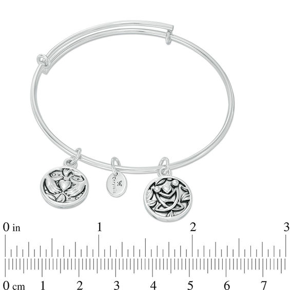 Chrysalis "Friendship" Charms Adjustable Bangle in White Brass