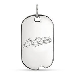 MLB Team Logo Dog Tag Pendant (Select Team)