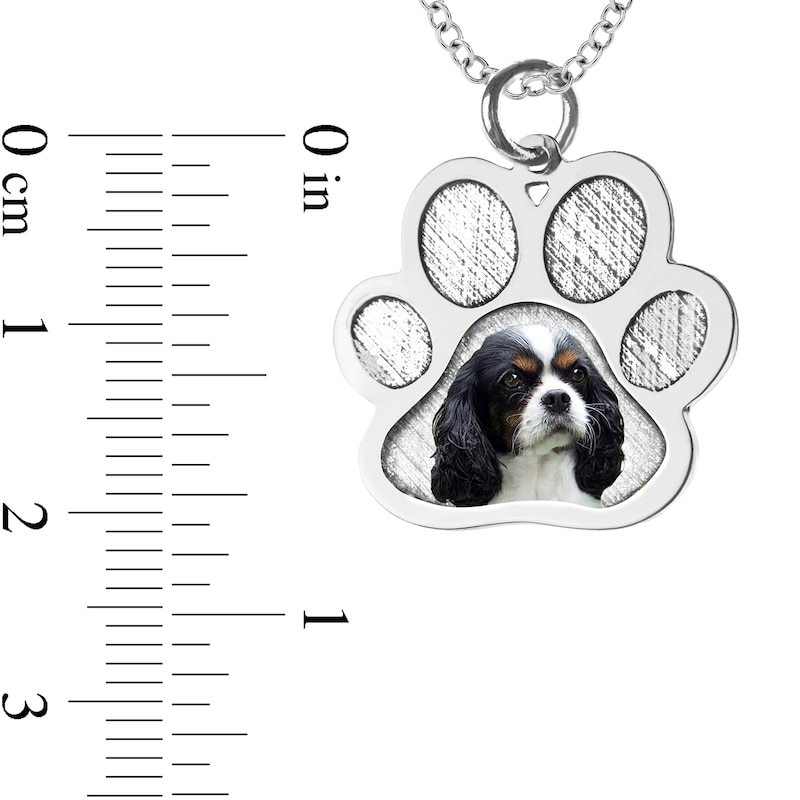 Engravable Photo Textured Paw Print Pet Pendant in 10K White, Yellow or Rose Gold (1 Image and 2 Lines)|Peoples Jewellers