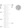 Thumbnail Image 2 of 0.29 CT. T.W. Composite Diamond Flower Stud Earrings in 10K White Gold