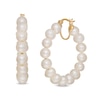 Thumbnail Image 0 of 6.0-6.5mm Freshwater Cultured Pearl Hoop Earrings with a 10K Gold Back