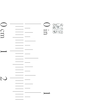 Thumbnail Image 2 of 0.50 CT. T.W. Certified Lab-Created Diamond Stud Earrings in 10K White Gold (I/SI2)