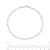 Thumbnail Image 1 of 2.25mm Figaro Chain Bracelet in Solid 14K White Gold - 7"