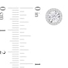 Thumbnail Image 3 of 0.50 CT. T.W. Diamond Frame Raised Stud Earrings in 10K White Gold
