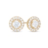 Thumbnail Image 0 of 0.75 CT. T.W. Diamond Frame Stud Earrings in 10K Gold