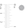 Thumbnail Image 2 of 0.13 CT. T.W. Multi-Diamond Starburst Stud Earrings in 10K Gold