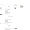 Thumbnail Image 2 of 0.80 CT. T.W. Diamond Solitaire Stud Earrings in 10K Gold (I/I3)
