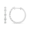 Thumbnail Image 0 of Alternating 0.23 CT. T.W. Multi-Diamond Hoop Earrings in 10K White Gold