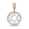 Thumbnail Image 0 of 0.95 CT. T.W. Diamond Star of David Medallion Necklace Charm in 14K Gold