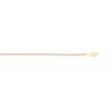 Thumbnail Image 1 of 2.74mm Diamond-Cut Ice Chain Necklace in Solid 14K Two-Tone Gold - 18”