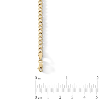 3.6mm Curb Chain Bracelet in Hollow 10K Gold - 7.25"