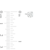 Thumbnail Image 1 of 1.00 CT. T.W. Certified Lab-Created Diamond Solitaire Stud Earrings in 10K White Gold (I/SI2)