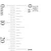 Thumbnail Image 2 of 0.30 CT. T.W. Certified Lab-Created Diamond Solitaire Stud Earrings in Sterling Silver (F/SI2)