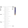 Thumbnail Image 2 of Previously Owned - Blue Sapphire Huggie Hoop Earrings in 10K Gold