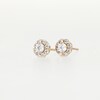 CT. T.W. Multi-Diamond Flower Stud Earrings in 10K Gold